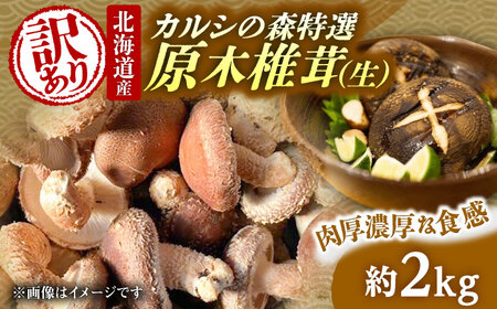 【訳あり】原木 生しいたけ 約2kg | 合同会社カルシ [BNAU006]