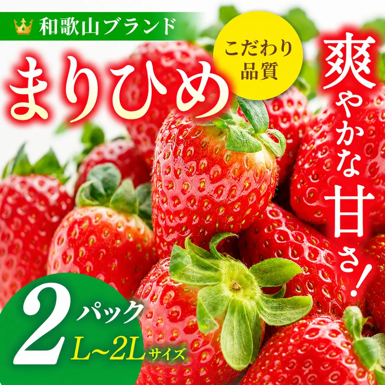 【先行予約】まりひめ いちご 12粒～15粒入り×2パック（500g） / いちご 苺 まりひめ 和歌山 フルーツ 果物 くだもの※2027年1月中旬～3月下旬頃に順次発送予定 ※離島への配送不可【kgr500-250-2A】