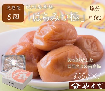 【定期便/2か月ごと/全5回】紀州南高梅はちみつ極塩分約6％（850g） | 梅干し 蜂蜜