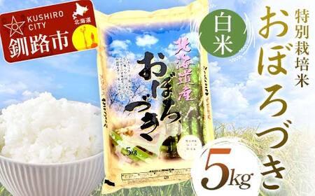 【令和7年度産 】 【新米】 特別栽培米おぼろづき 5kg 白米 北海道産 米 コメ こめ お米 白米 玄米 通常発送 F4F-9818
