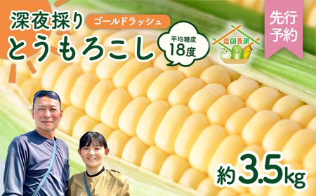 とうもろこし ゴールドラッシュ 3.5kg 茨城県産 トウモロコシ 深夜採り 朝出荷