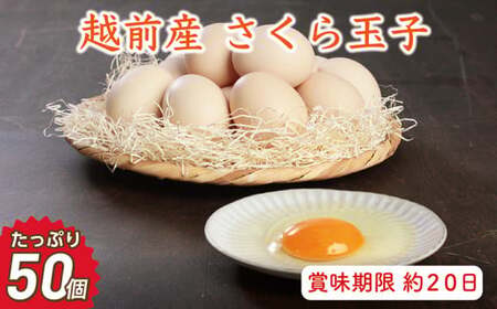 越前産 さくら玉子 50個（45個＋割れ補償5個入り）【冷蔵・卵】