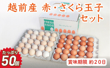 越前産赤玉子・さくら玉子セット50個入り（45個+割れ補償5個入り）【冷蔵・卵】
