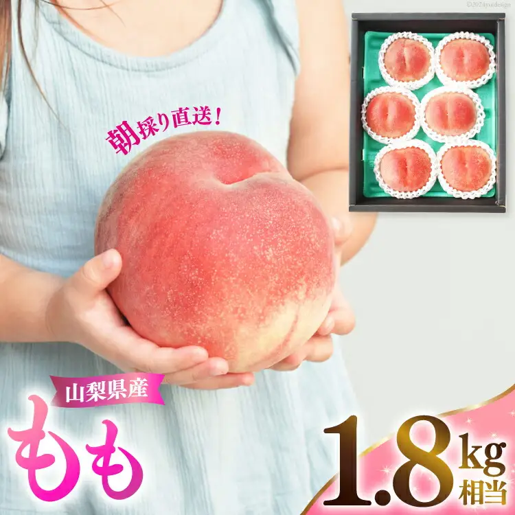 【期間限定発送】 桃 山梨 山梨県産 もも 約 1.8kg NS-1006 [韮崎翠緑 山梨県 韮崎市 20743936]
