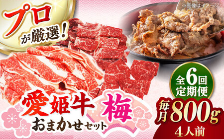 【全6回 定期便 】「愛姫牛」店主におまかせ旬セット【梅】800g（4人前） 小間切れ 角切り 赤身 牛肉 冷凍 冷凍肉 お肉[AGCC058] 