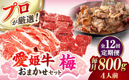 【全12回 定期便 】「愛姫牛」店主におまかせ旬セット【梅】800g（4人前） 小間切れ 角切り 赤身 牛肉 冷凍 冷凍肉 お肉[AGCC059] 