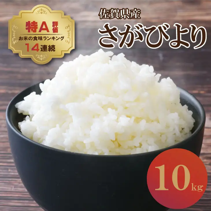 【6月配送】佐賀ブランド米「さがびより10kg（5kg×2）潮風F 白米 C280-001 