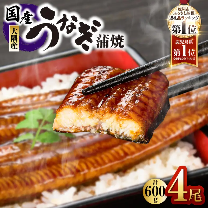 鹿児島県大隅産 うなぎ蒲焼 4尾（600g） KN007-004-04 うなぎ 鰻 魚 惣菜 総菜