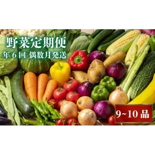 【 野菜定期便 】 野菜定期便早期予約 偶数月発送 6回