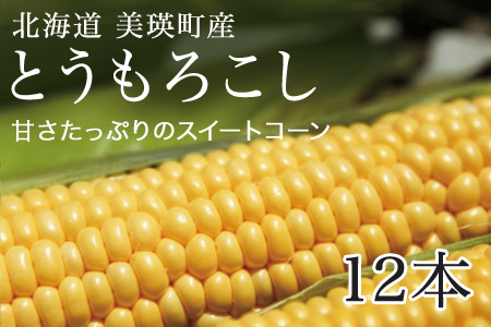 とうもろこし ≪令和8年産予約受付≫ スイートコーン(黄12本)  朝もぎとうもろこし   [013-91]