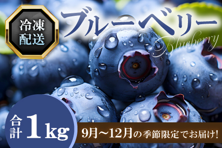 A-1221 冷凍ブルーベリー