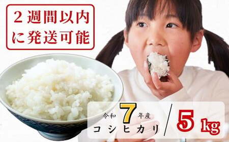 【令和7年産】あわくら源流米 コシヒカリ白米 5kg｜西粟倉村産・昼夜寒暖差が育む甘み｜ふるさと納税 K-af-AEJA