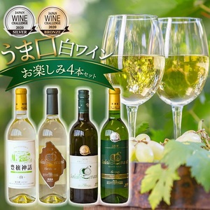 うま口白ワイン　お楽しみ4本セット（ソレイユルバン　甲州シュールリー　他）750ml×1本　720ml×3本　K18-778