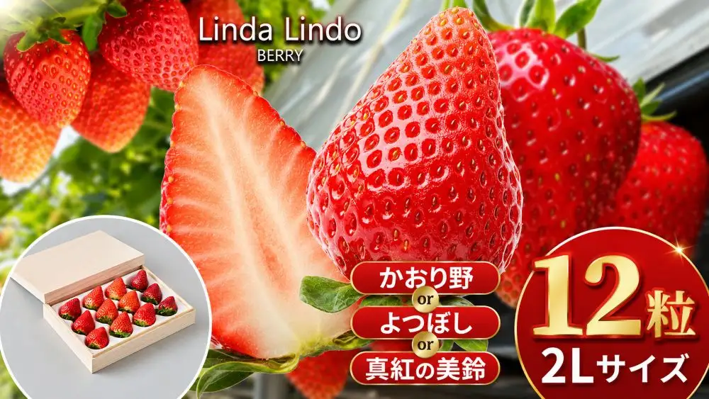 【先行予約】Linda Lindo BERRY 2Lサイズ 12粒 （2027年1月中旬ころより順次発送予定） | いちご かおり野 よつぼし 深紅の美鈴