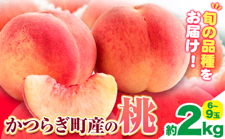 桃 かつらぎ町産桃 約2kg