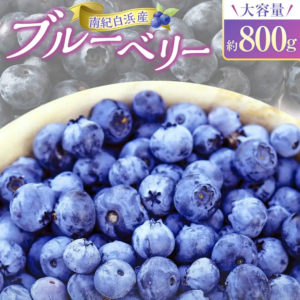 南紀白浜産ブルーベリー 約800g 大容量