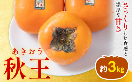 柿 秋王 約3kg（8-12玉） 南国フルーツ株式会社 【26年度出荷】《10月下旬-11月末頃出荷》福岡県 小竹町 福岡県産 柿 フルーツ 果物