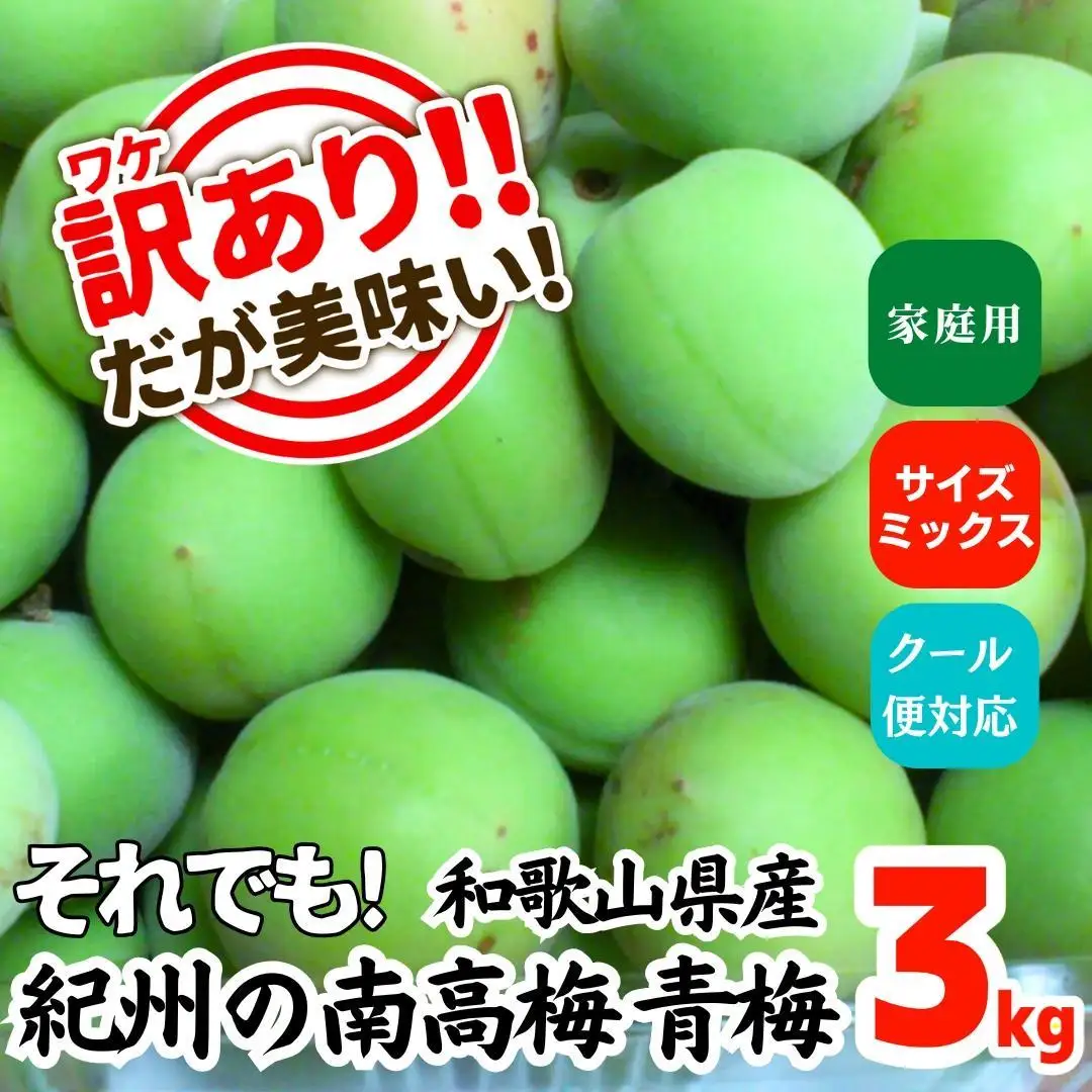 青梅 南高梅 約3kg 訳あり サイズミックス 和歌山県産 A品 梅酒作り用 梅ジュース作り用