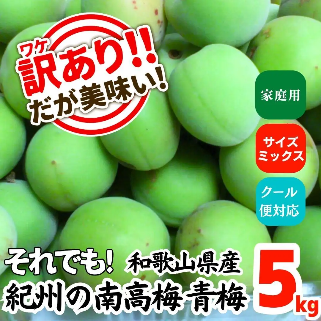青梅 南高梅 約5kg 訳あり サイズミックス 和歌山県産 A品 梅酒作り用 梅ジュース作り用