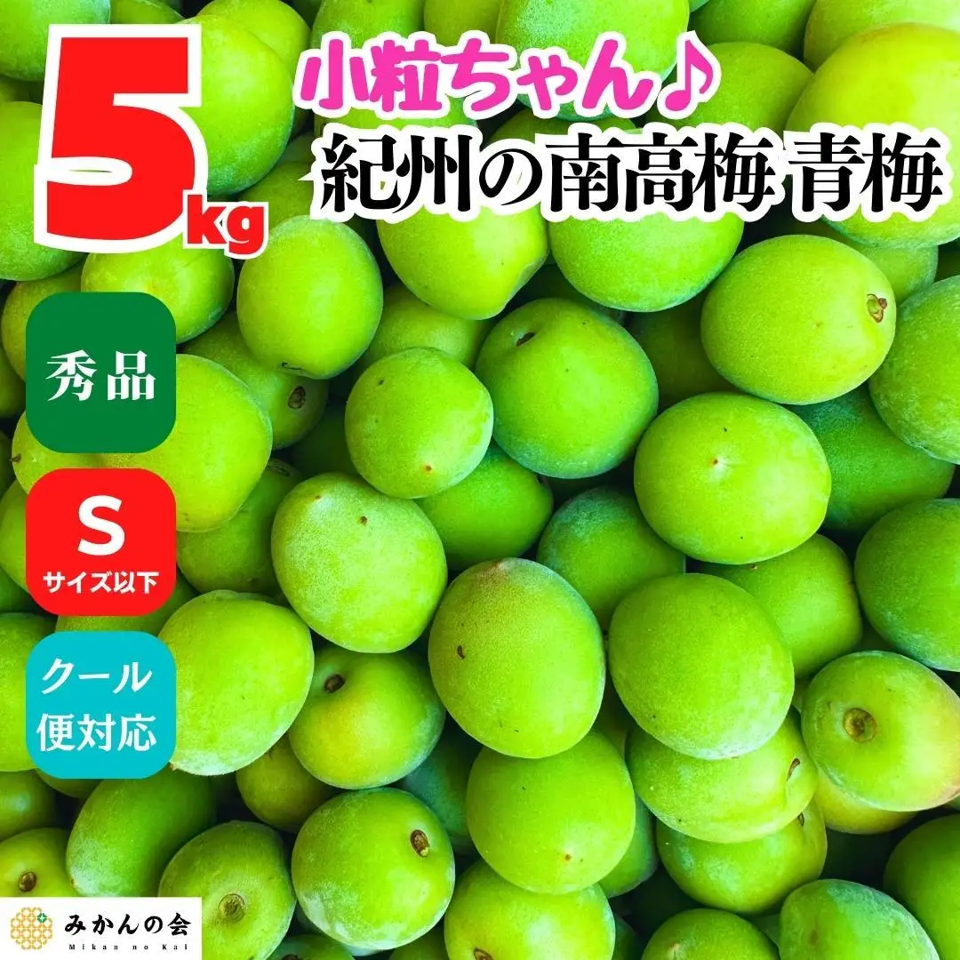 南高梅 青梅 秀品 小粒ちゃん 約5kg Sサイズ以下 和歌山県産 紀州有田 産地直送 クール便対応 梅酒作り用 梅ジュース作り用