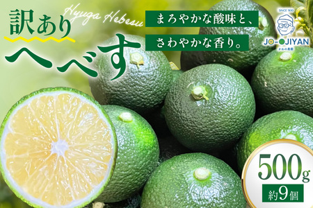 【期間限定発送】 へべす 訳あり 宮崎 栽培期間中 農薬不使用 露地へべす 500g [かわの農園 宮崎県 日向市 452061174]