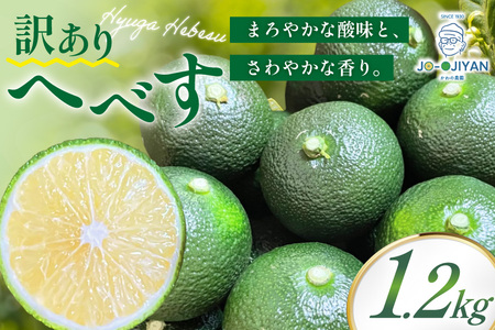 【期間限定発送】 へべす 訳あり 宮崎 栽培期間中 農薬不使用 露地へべす 1.2kg [かわの農園 宮崎県 日向市 452061172]