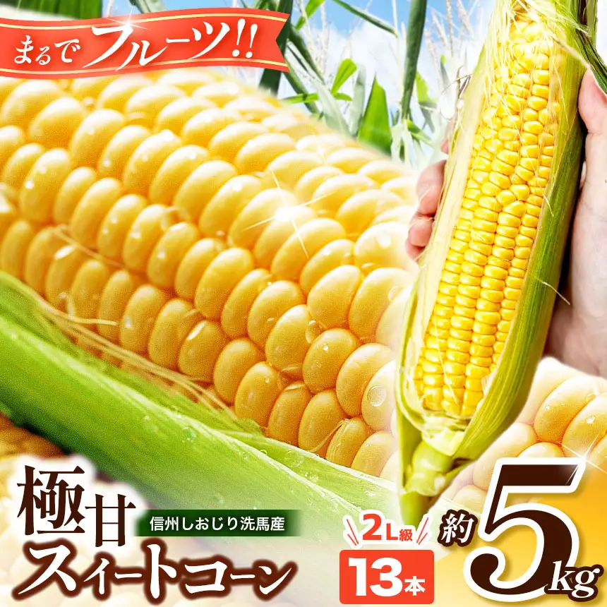 【2026年先行予約】 極甘スイートコーン 2Ｌ級 13本 約5kg （高原野菜の名産地　信州しおじり洗馬産）【7月末～8月中旬にかけて順次発送予定】