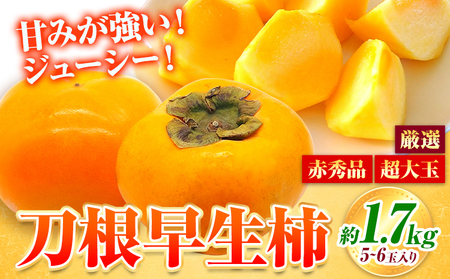 柿 赤秀品 超大玉 刀根早生柿 約1.7kg