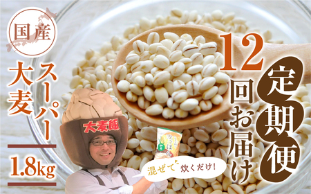 国産スーパー 大麦 12回定期便 （1.8kg × 12）計21.6kg 月に1回お届け 食物繊維 たっぷり 大麦 麦