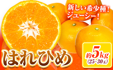 みかん はれひめ 約5kg 　みかん