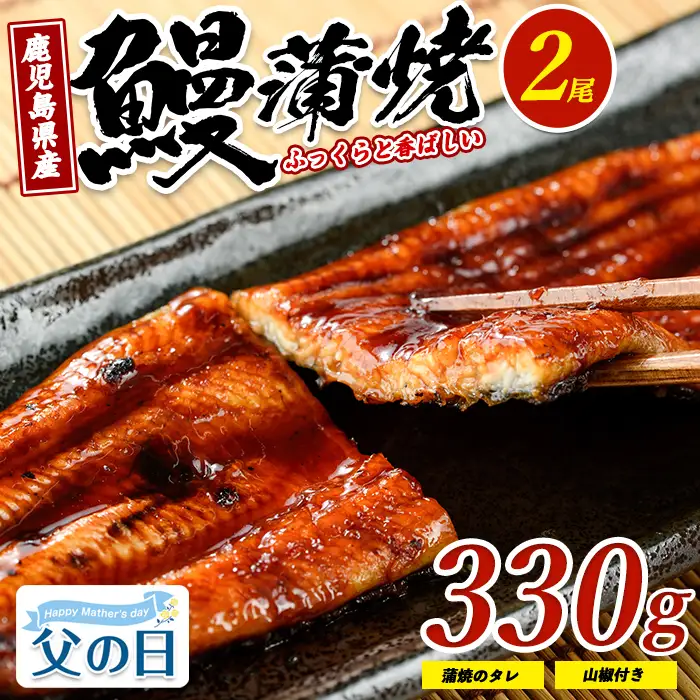 【父の日ギフト】鹿児島県産 鰻の蒲焼(無頭背開き)約165g×2尾 山中水産 IB022-001f