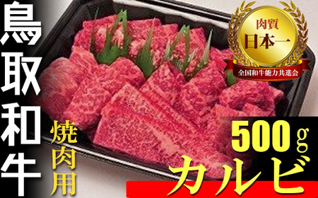 鳥取和牛 焼肉用 カルビ 500g 国産 牛肉 上カルビ 黒毛和牛
