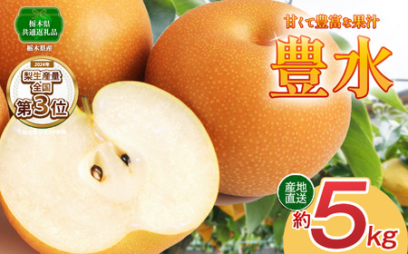 【2026年先行予約】豊水 梨 5kg【栃木県共通返礼品】P0 栃木県 下野市
