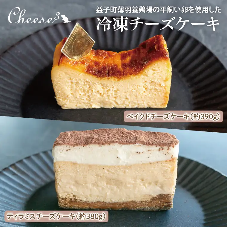 ベイクドチーズケーキ ティラミスチーズケーキ ハーフ＆ハーフ CP002