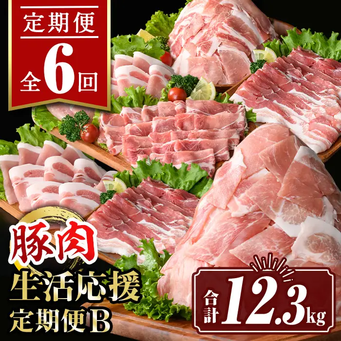 isa647 【定期便6回】豚肉生活応援定期便B(合計12.3kg) 国産 切り落とし バラスライス 肩ロース ロース しゃぶしゃぶ 生姜焼き 真空包装 真空パック 小分け ぶたにく 豚 肉 詰合せ 詰め合わせ 冷凍 【サンキョーミート株式会社】