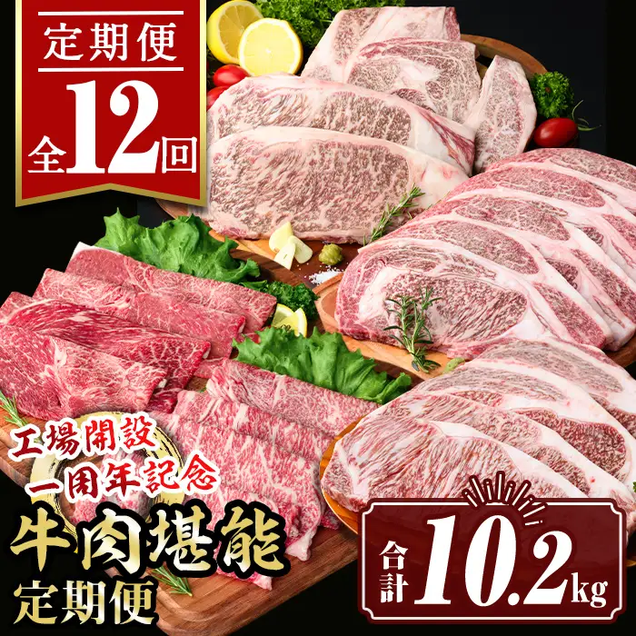 isa651 【定期便12回】工場開設一周年記念 牛肉堪能定期便(合計10.2kg) 黒毛和牛 リブロース サーロイン ステーキ スライス 大判 焼肉 牛 うし 牛肉 すきやき しゃぶしゃぶ 牛しゃぶ ロース アウトドア 食べ比べ BBQ 冷凍 【サンキョーミート株式会社】