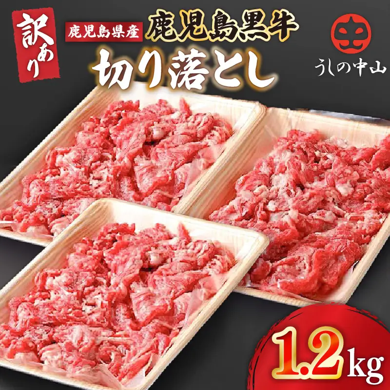 2872 【訳あり】うしの中山 黒毛和牛 切り落とし 1.2kg KN050-030 肉 牛 和牛