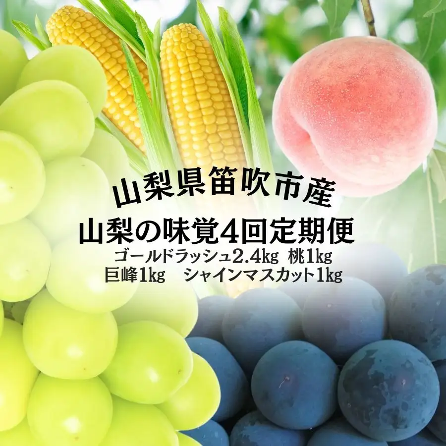 【2026年発送★先行予約】山梨の味覚定期便　全4回　ゴールドラッシュ　桃　巨峰　シャインマスカット 167-141-26y