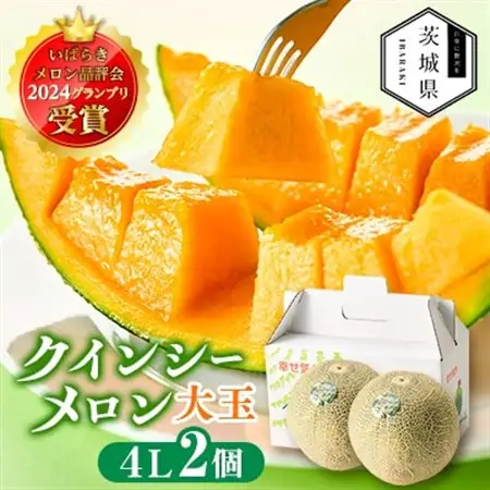 【先行受付】令和8年4月順次発送 茨城県鉾田市 山一ファーム クインシーメロン 大玉4L～5L・2玉_クインシー メロン 先行受付 鉾田市_【配送不可地域：離島・沖縄県】【1590731】