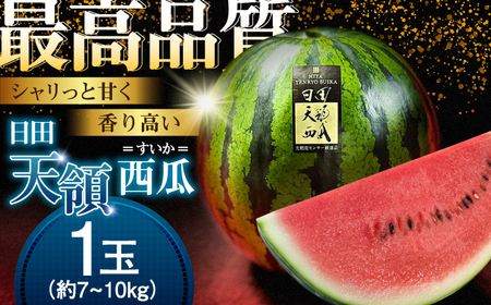 【先行予約】日田天領西瓜 1玉 約7kg～10kg スイカ[ARBD001]