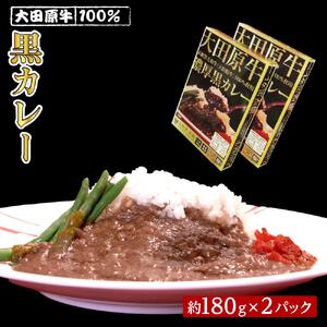 大田原牛 100％ 黒カレー 2パックセット | レトルト カレー 和牛  牛肉 ビーフカレー 高級