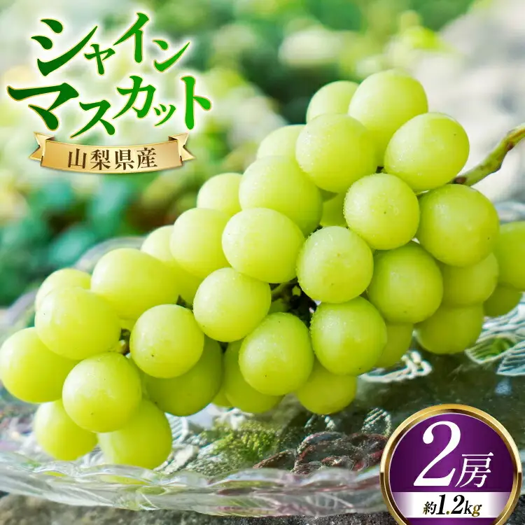 【期間限定発送】 シャインマスカット 予約 2房 約1.2kg 産直 ぶどう [鈴木ぶどう園 山梨県 韮崎市 20743034]