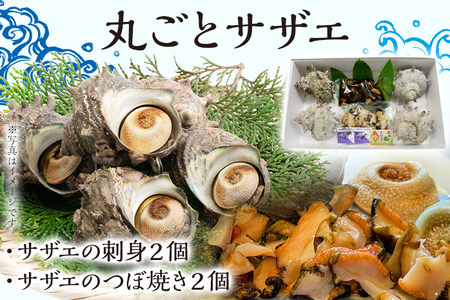 丸ごとサザエ さざえ 栄螺 貝 魚介 海鮮 刺身 つぼ焼き サザエ サザエの刺身２個 サザエのつぼ焼き２個 玄界灘 福岡 冷凍 お取り寄せ 海産物 さしみ 刺し身 グリル 殻付き レンジ おつまみ つまみ 肴