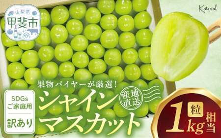 粒 シャインマスカット 約1.0㎏ 山梨シャインマスカット