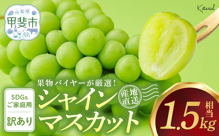 訳あり 約1.5㎏ SDGs シャインマスカット 山梨シャインマスカット