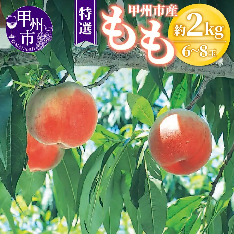 甲州市産 桃 約2kg 6～8玉（特選）【2026年発送】（OGN）B15-1801 桃 フルーツ
