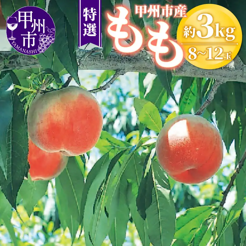甲州市産 桃 約3kg 8～12玉（特選）【2026年発送】（OGN）C-1801 桃 フルーツ