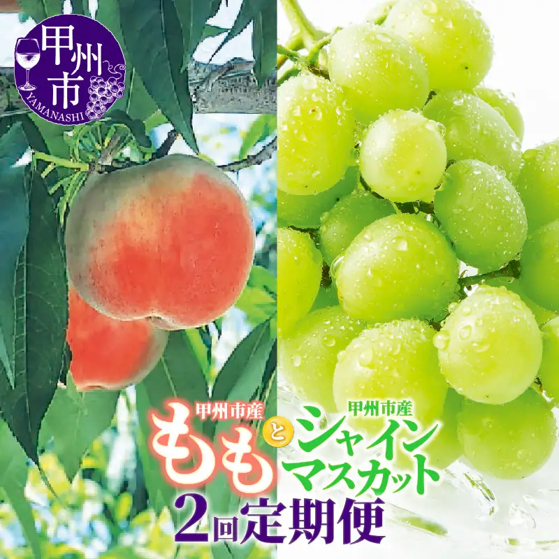 【定期便】甲州市フルーツ定期便 桃 約2kg 6～8玉・シャインマスカット 約1.2kg 2～3房【2026年発送】（OGN）C7-1801 桃 シャインマスカット フルーツ