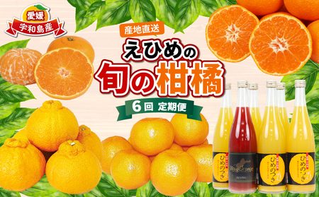 えひめの旬の柑橘 6回 みかん定期便 JA みかん定期便 B120-009012