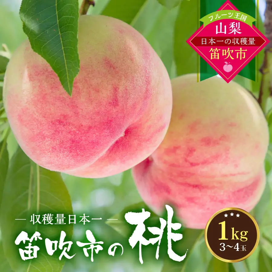 【2026年発送★先行予約】 桃の一大産地！笛吹市産旬の桃約1kg 167-164